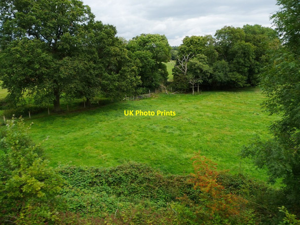 Photo 6"x4" Trees along a stream, south of Danzey Green Farm Danzey Green c2014