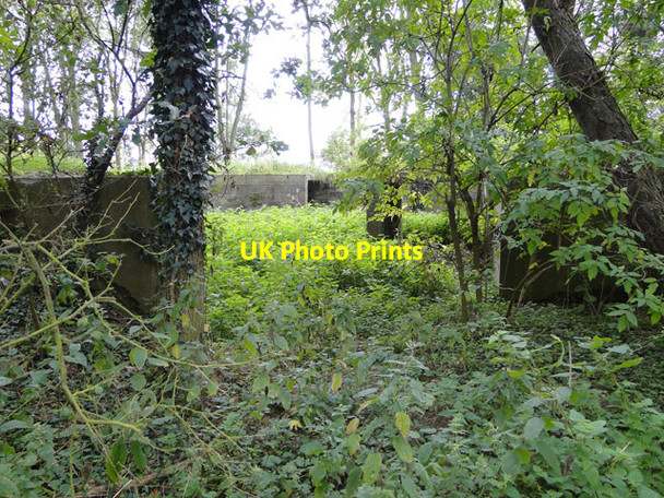 Photo 6"x4" Anti-aircraft gun emplacement West End\/TG4911 c2014