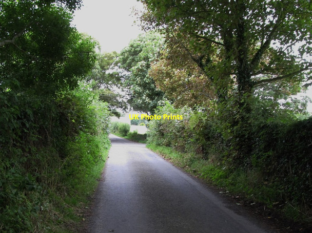 Photo 6"x4" Ballysallagh Road approaching Ballee Cross Roads Bishops Court\/J5642 c2014