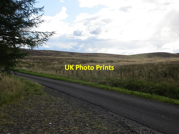 Photo 6"x4" Buchanty - Fowlis Wester Road Buchanty c2014