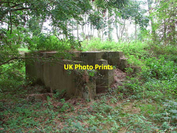 Photo 6"x4" HAA gun battery West End\/TG4911 c2014