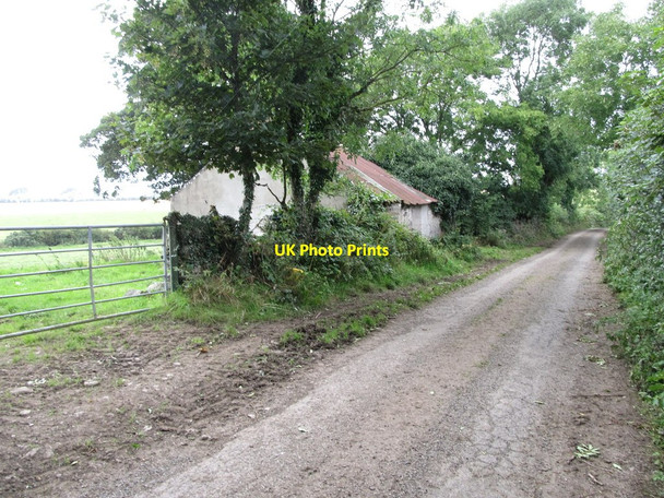 Photo 6"x4" Disused farm worker's cottage on the Ballysallagh Road  Saul\/J5046 c2014