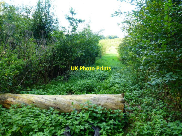 Photo 6"x4" Looking north on blocked track from Ford Lane Bidden c2014