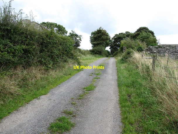 Photo 6"x4" View in a south-easterly direction along Ballysallagh Road Saul\/J5046 c2014