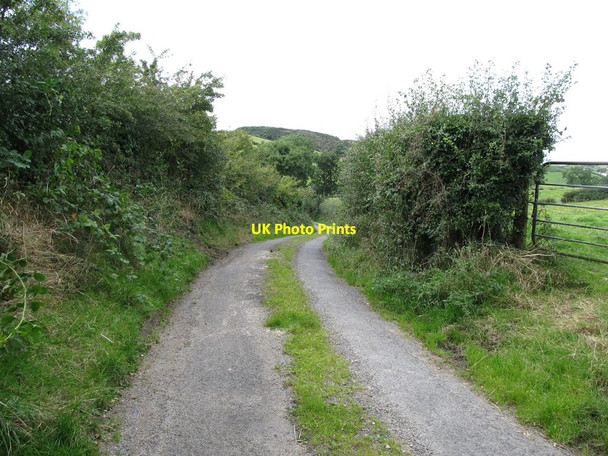 Photo 6"x4" Ballysallagh Road with the wooded Struell Hill in the background Saul\/J5046 c2014
