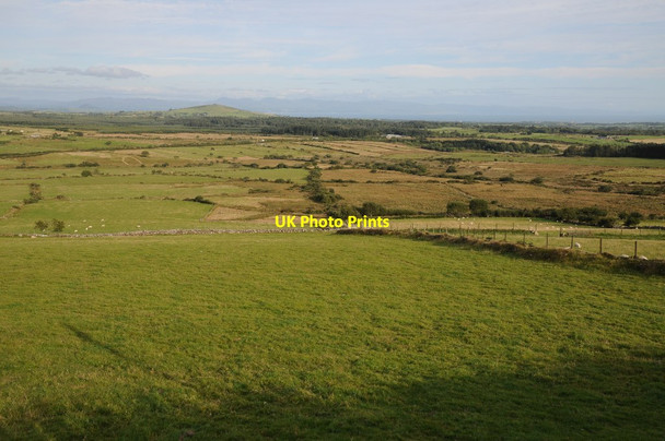 Photo 6"x4" Rough grassing near Llanaelhaearn Llanaelhaearn c2014