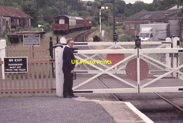 Photo 6"x4" Staverton Station Shinner's Bridge c1996