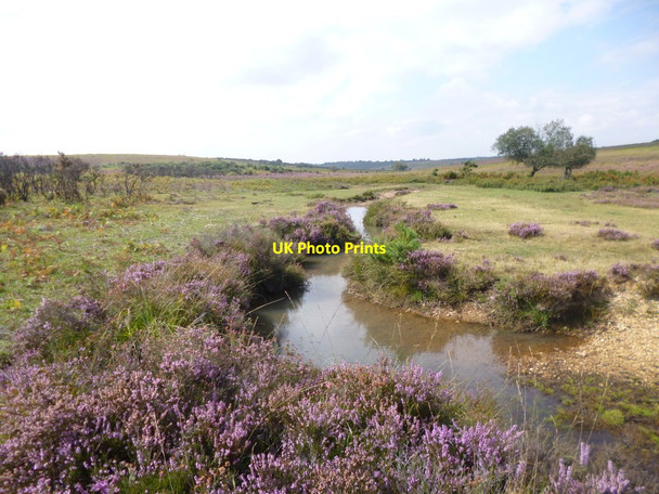 Photo 6"x4" Black Gutter Bohemia\/SU2019 c2014