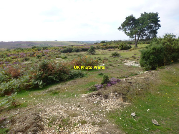 Photo 6"x4" Deadman Hill, former gravel pits Bohemia\/SU2019 c2014