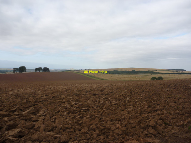 Photo 6"x4" East Lothian Landscape : Beware Of The Lion! Carfrae\/NT5769 c2014