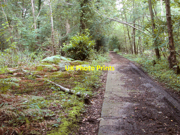 Photo 6"x4" Old concreted road New Rackheath c2014