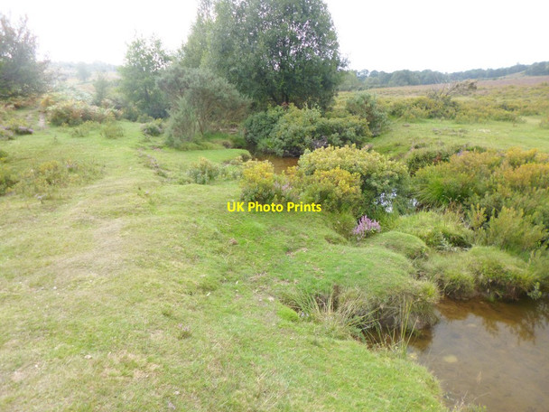 Photo 6"x4" Millersford Brook Woodgreen\/SU1717 c2014