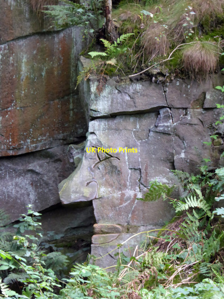 Photo 6"x4" Rock face #2 Cudworth Common\/SE3907 c2014