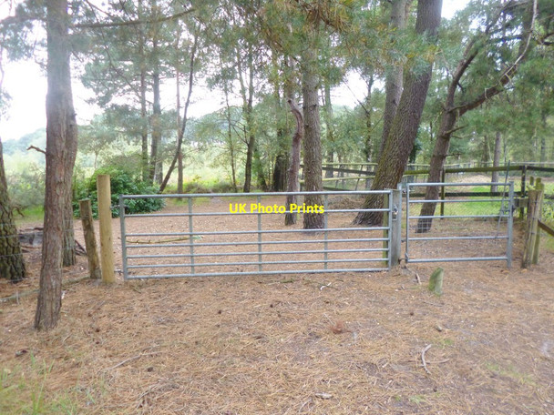 Photo 6"x4" Avon Heath, gates St Ives\/SU1204 c2014