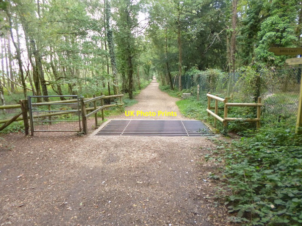 Photo 6"x4" Avon Heath, cattle grid St Ives\/SU1204 c2014