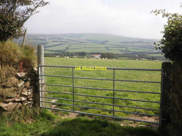 Photo 6"x4" Sheep pasture above Swincombe Swincombe c2014