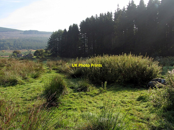 Photo 6"x4" Site of Bells Chapel Kielder c2014 P1