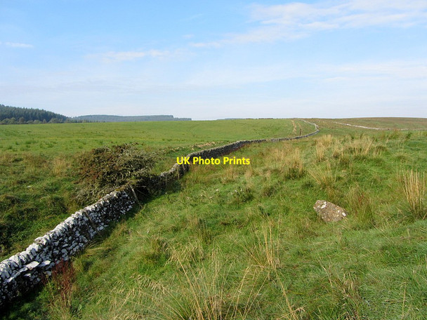 Photo 6"x4" England - Scotland Border above Bells Burn Kielder c2014