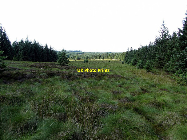 Photo 6"x4" The Border towards Buckside Knowe Kielder c2014