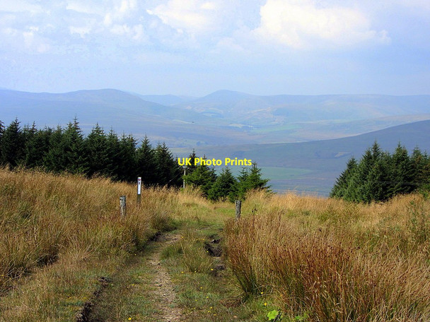 Photo 6"x4" Track to Dinlabyre Steeleroad-end c2014