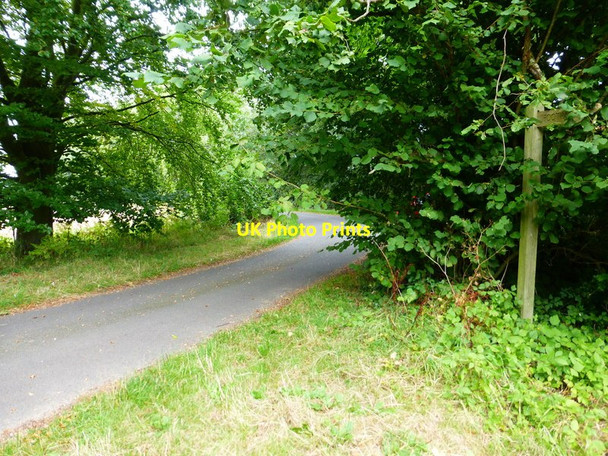 Photo 6"x4" Footpath reaches bend on Wood Hill Lane Long Sutton\/SU7347 c2014