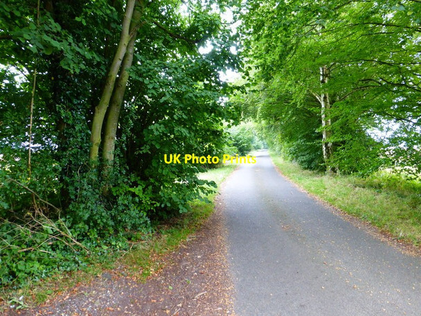 Photo 6"x4" Looking southwards on Wood Hill Lane Long Sutton\/SU7347 c2014