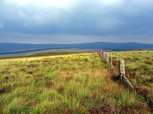 Photo 6"x4" Fence along Larriston Fells Larriston c2014