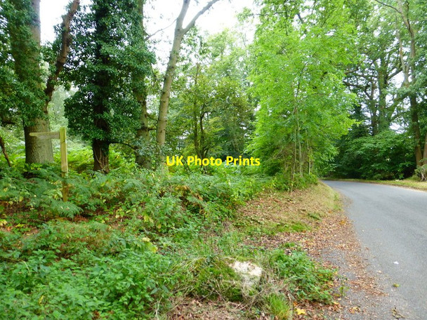 Photo 6"x4" Junction of bridleway with Plough Lane Bramshill c2014