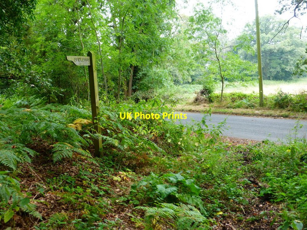Photo 6"x4" Bridleway reaches Plough Lane Bramshill c2014