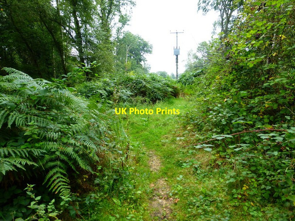 Photo 6"x4" Junction on bridleway with pole ahead Bramshill c2014