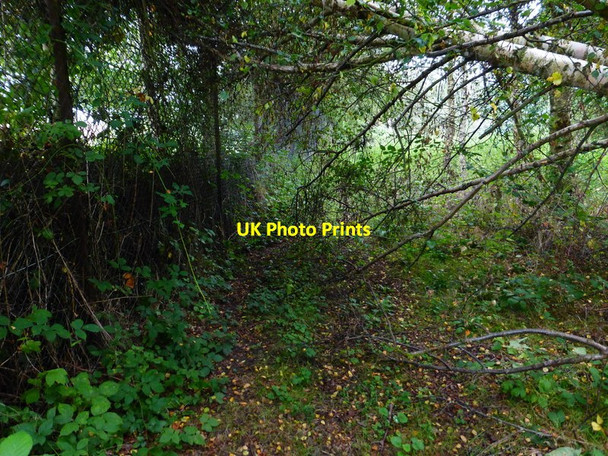 Photo 6"x4" Nasty bridleway just got nastier Bramshill c2014