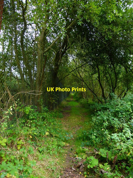 Photo 6"x4" Nasty bridleway suddenly improves Bramshill c2014