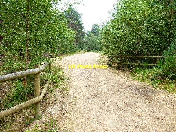 Photo 6"x4" Bridge on The Welsh Drive looking east Lower Common\/SU7662 c2014