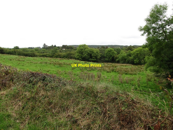 Photo 6"x4" Rough grazing on the eastern side of Bonds Road Cullyhanna c2014