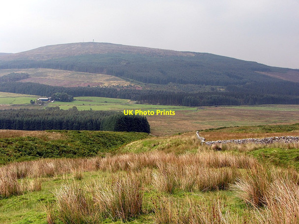 Photo 6"x4" Descending Hawkhope Hole on the Scottish side of the Border wall Saughtree c2014
