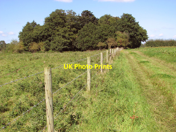 Photo 6"x4" Bridleway past Lower Farm Hyltons Crossways c2014