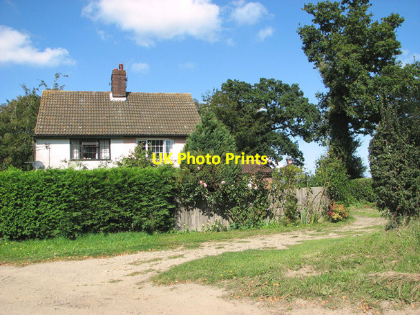 Photo 6"x4" Heath Farm Cottages Tuttington c2014