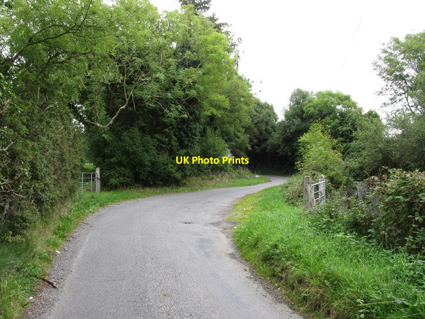 Photo 6"x4" The Ballinasack Road approaching the junction with Tullymareeve Road Forkhill c2014