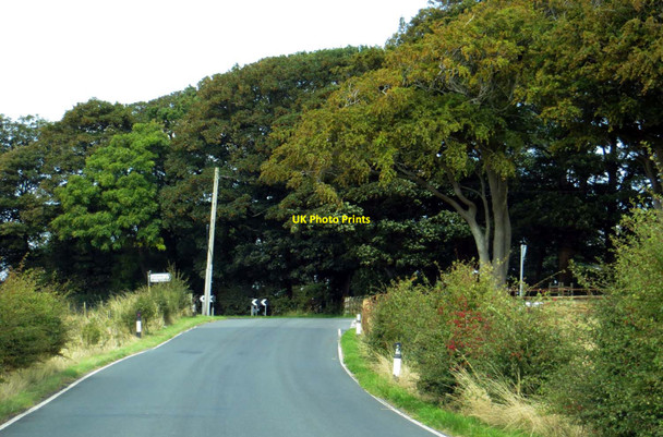 Photo 6"x4" Black Lane by Cogie Hill Farm Winmarleigh Moss c2014