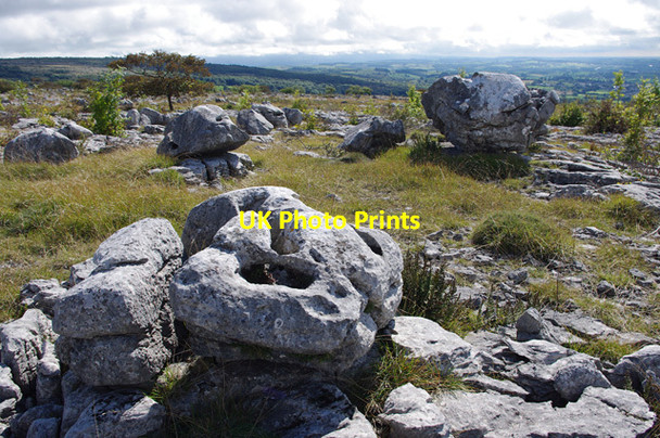 Photo 6"x4" Limestone boulders, Holmepark Fell Newbiggin\/SD5579 c2014
