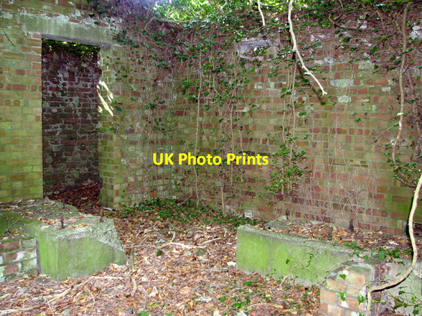 Photo 6"x4" Overgrown building in the wood ( interior) Docking c2014