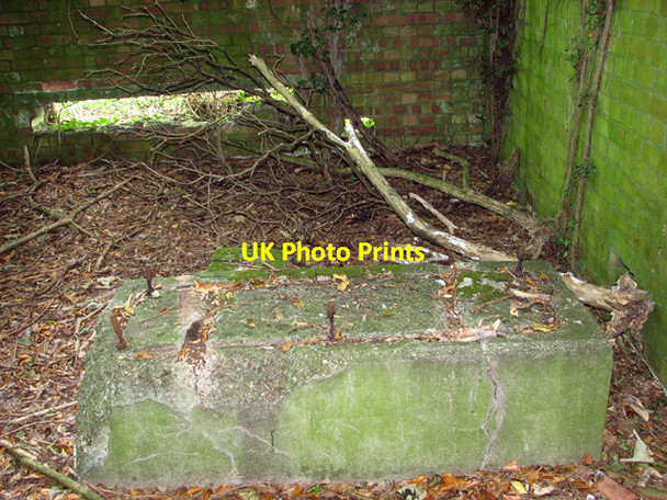 Photo 6"x4" Overgrown building in the wood ( interior) Docking c2014 P1