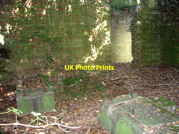 Photo 6"x4" Overgrown building in the wood ( interior) Docking c2014 P2