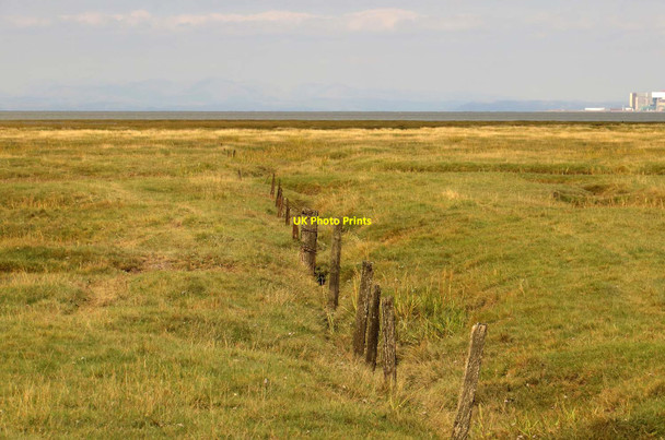 Photo 6"x4" Fenceposts on Pilling Marsh Dam Side c2014