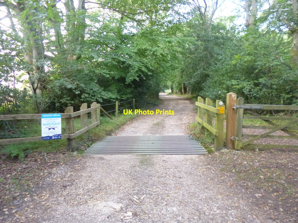Photo 6"x4" Hale, cattle grid Woodgreen\/SU1717 c2014