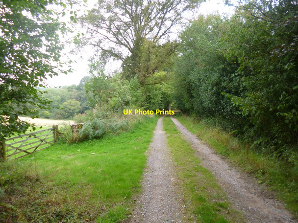 Photo 6"x4" Hale, bridleway Woodgreen\/SU1717 c2014
