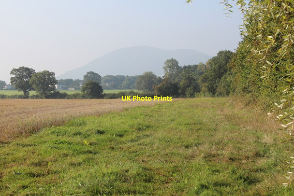 Photo 6"x4" Field of Sherridge Road Coles Green\/SO7651 c2014