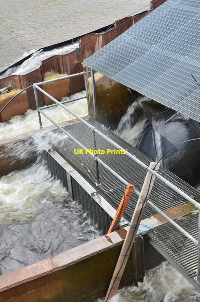 Photo 6"x4" Discharge from water turbines, Murray's Cauld hydro plant Philiphaugh c2014
