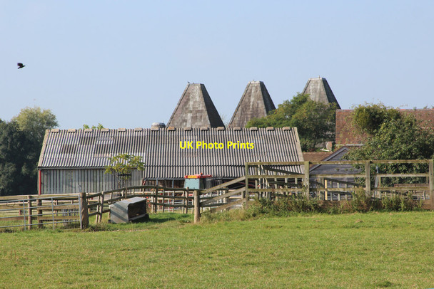 Photo 6"x4" The Oast Houses, Leigh Brockamin c2014