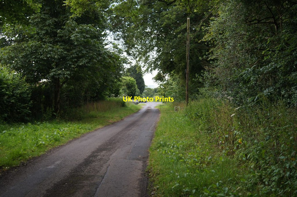 Photo 6"x4" View along Berrydown Lane Overton\/SU5149 c2014 P1